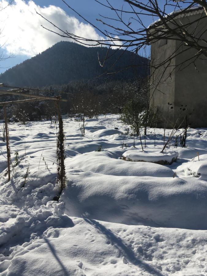Sejour Chez L'Habitant Homestay Fougax-et-Barrineuf Luaran gambar