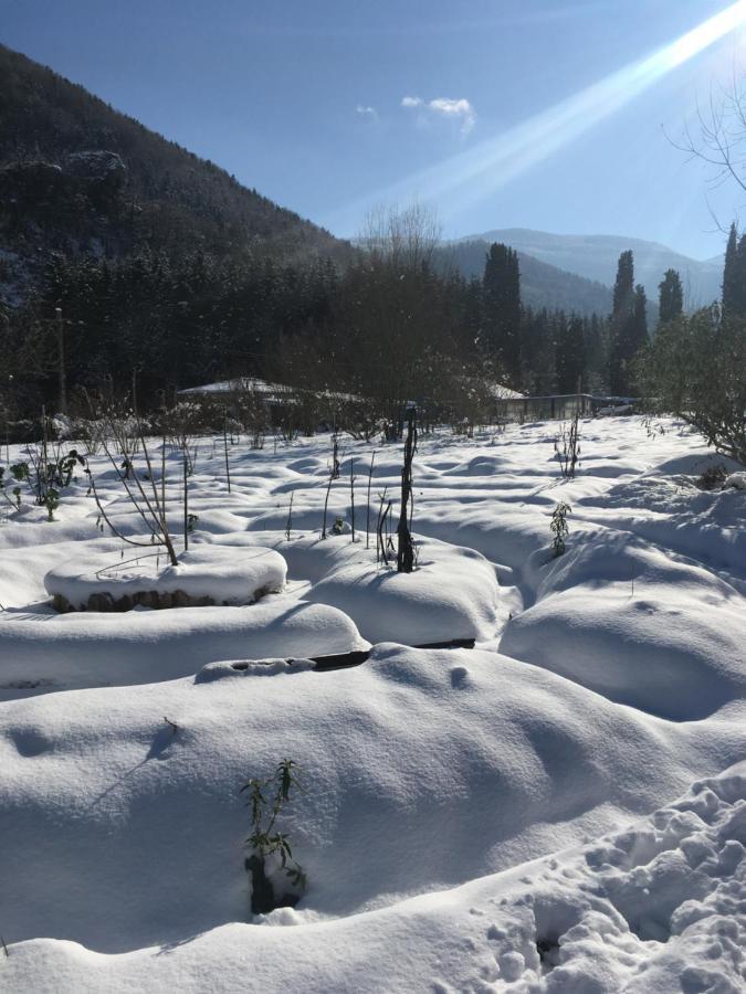 Sejour Chez L'Habitant Homestay Fougax-et-Barrineuf Luaran gambar